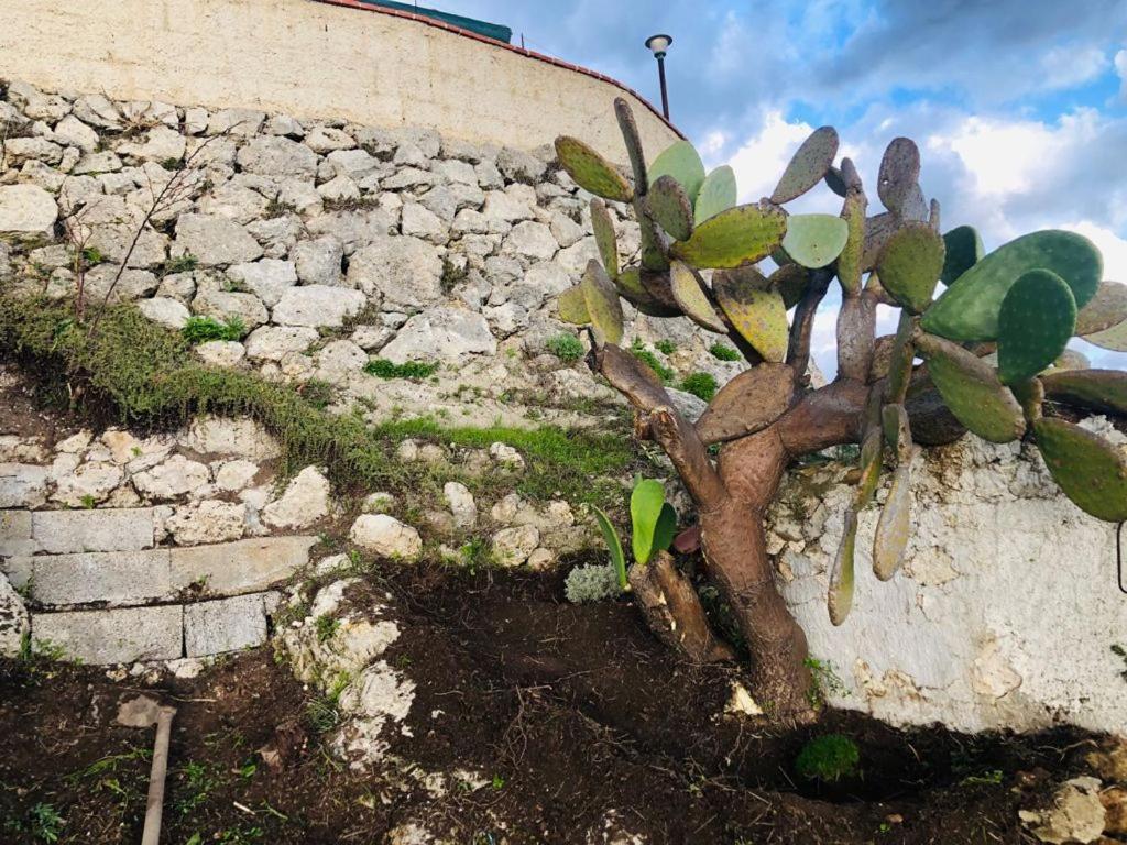 B&B Tenuta La Puntara Caltanissetta Luaran gambar