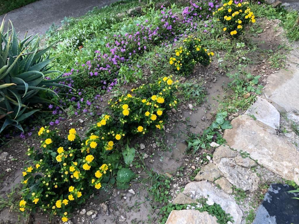 B&B Tenuta La Puntara Caltanissetta Luaran gambar