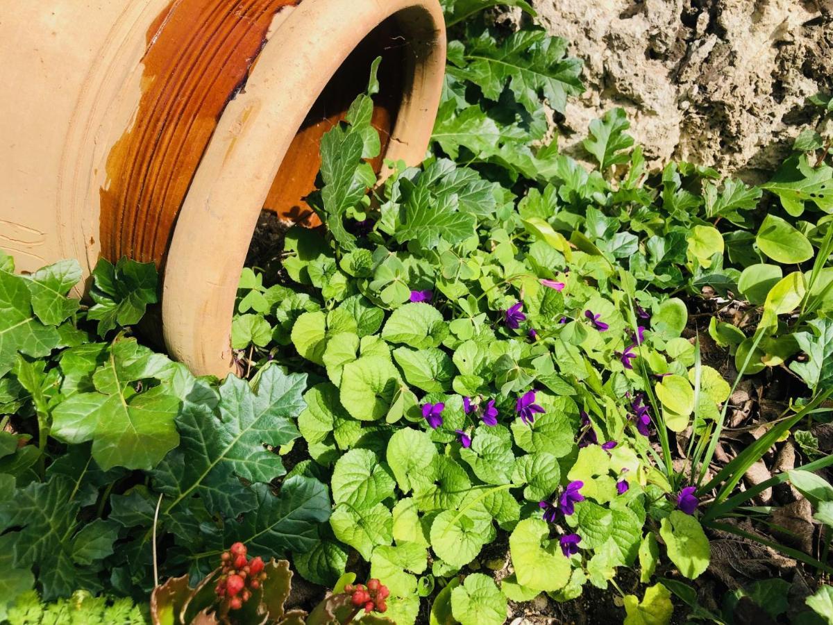 B&B Tenuta La Puntara Caltanissetta Luaran gambar
