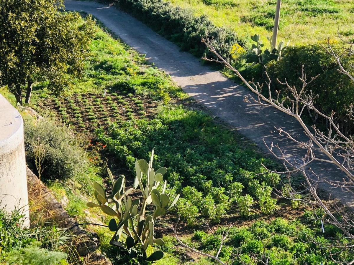 B&B Tenuta La Puntara Caltanissetta Luaran gambar
