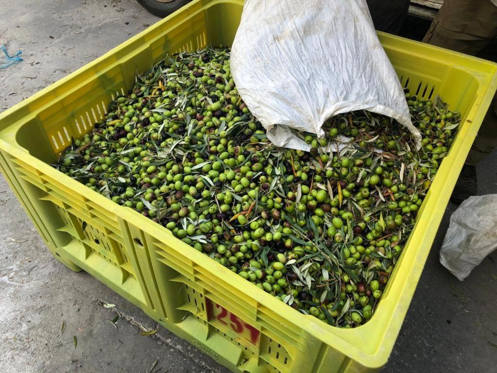 B&B Tenuta La Puntara Caltanissetta Luaran gambar