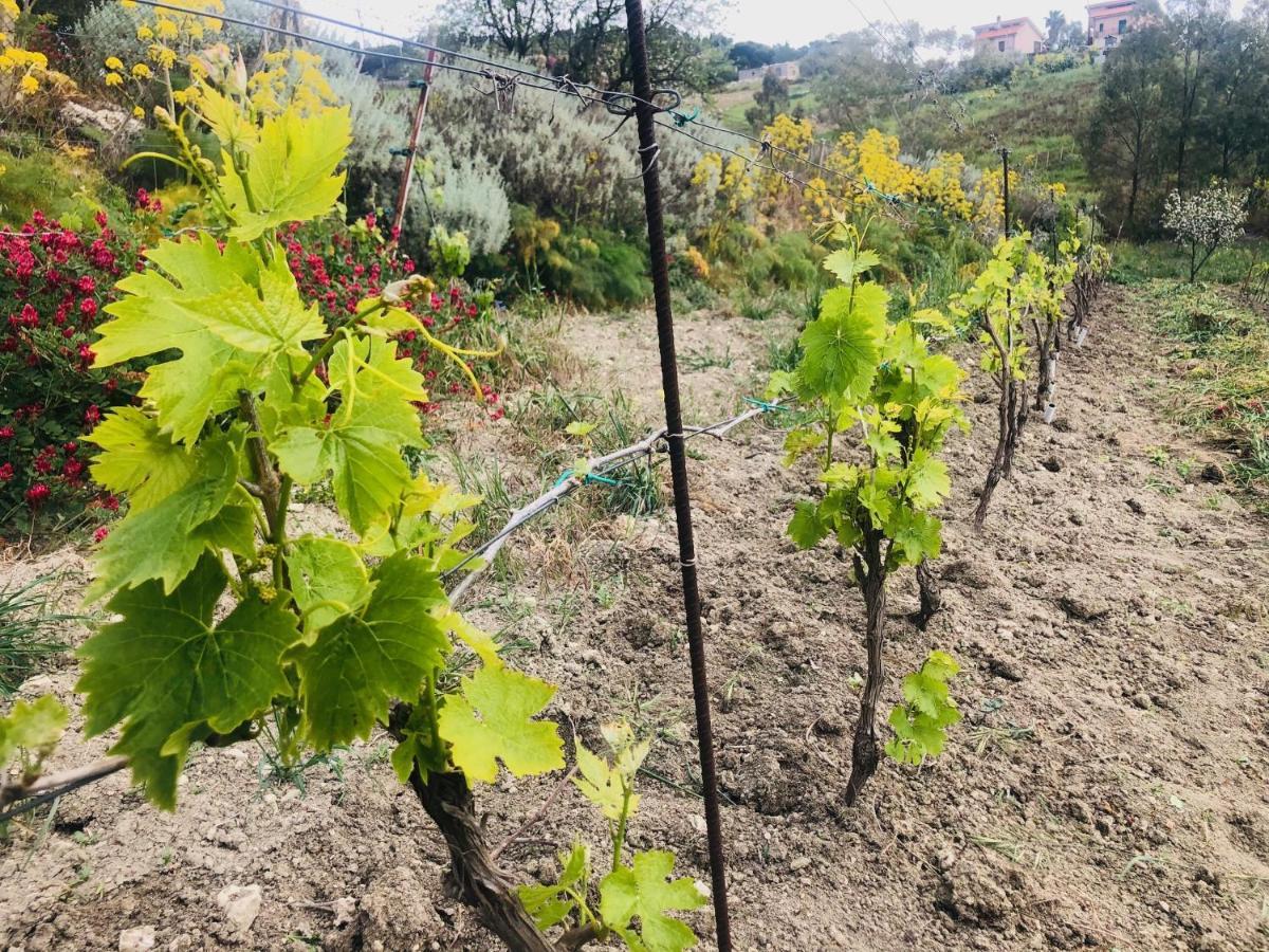 B&B Tenuta La Puntara Caltanissetta Luaran gambar