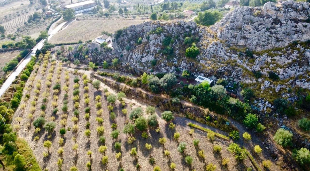 B&B Tenuta La Puntara Caltanissetta Luaran gambar