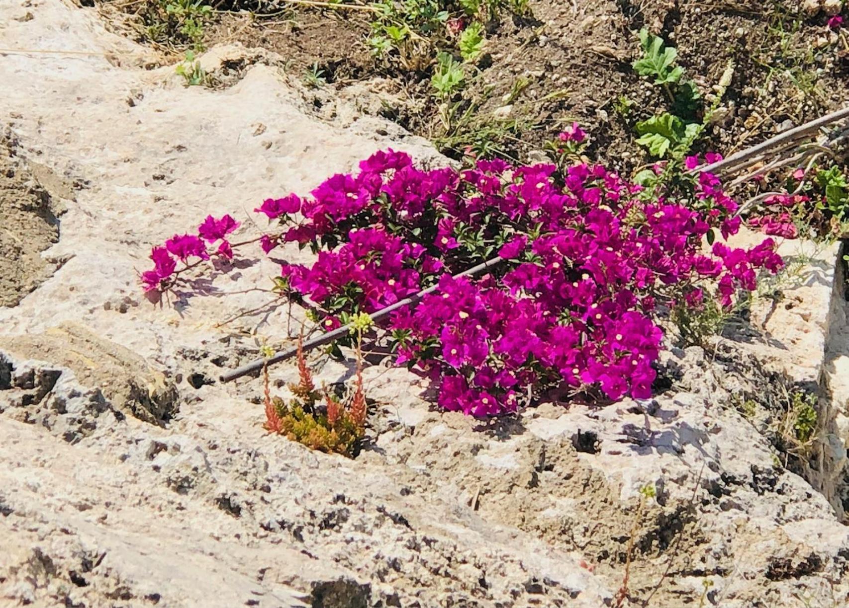 B&B Tenuta La Puntara Caltanissetta Luaran gambar