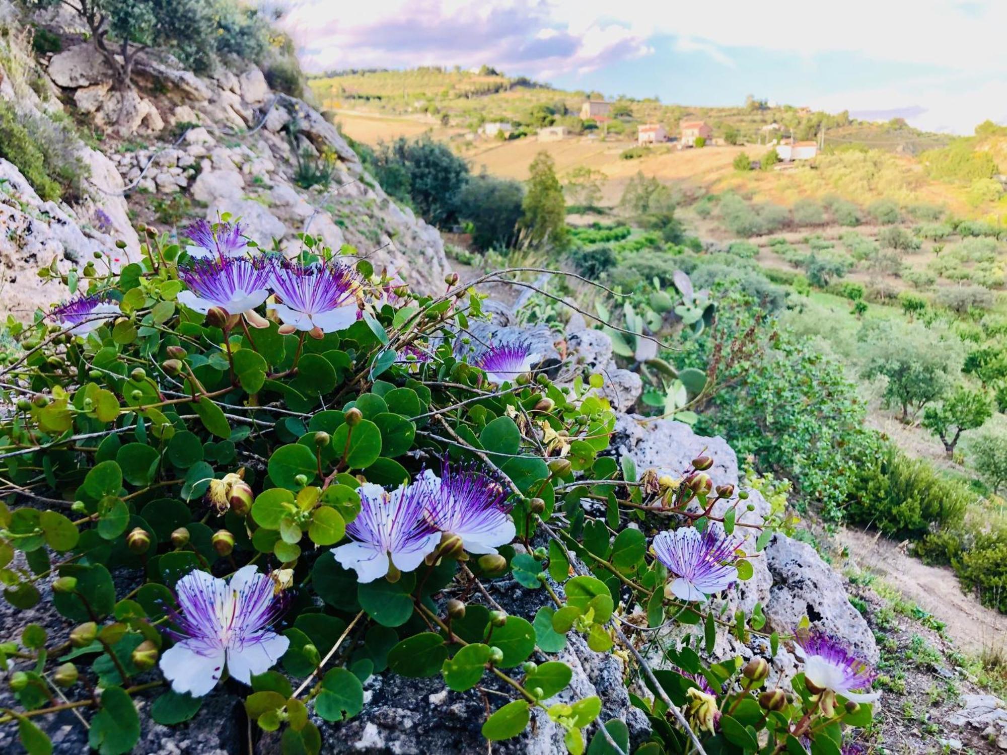 B&B Tenuta La Puntara Caltanissetta Luaran gambar