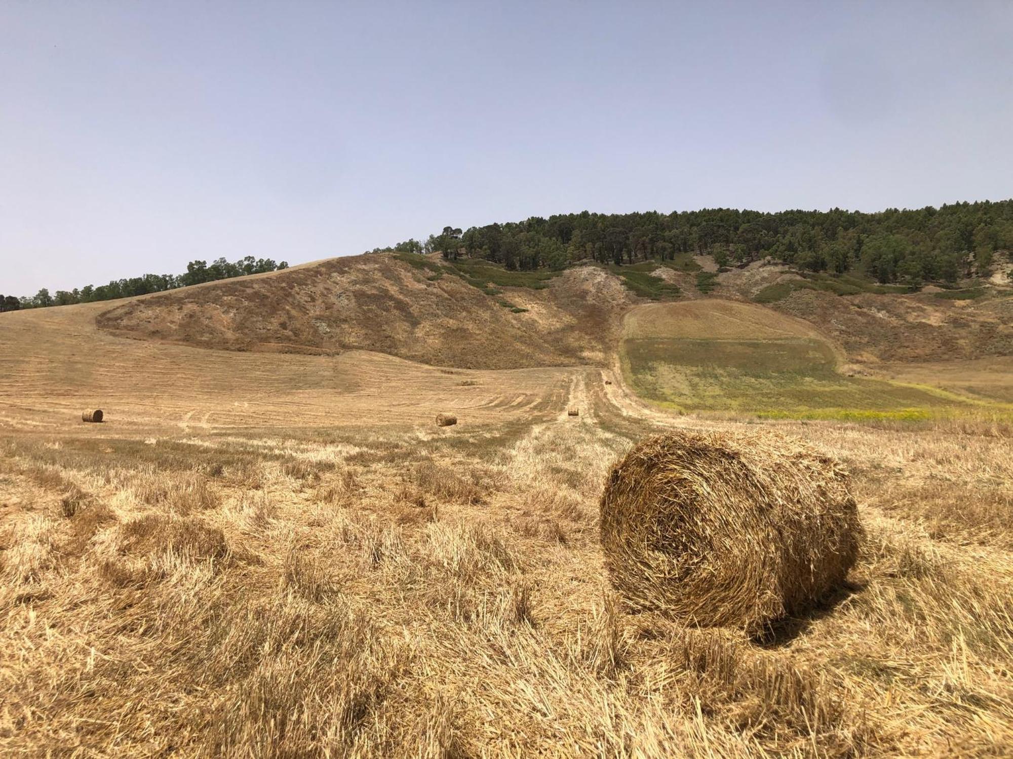 B&B Tenuta La Puntara Caltanissetta Luaran gambar